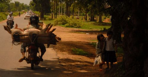 Cambodia3.jpg