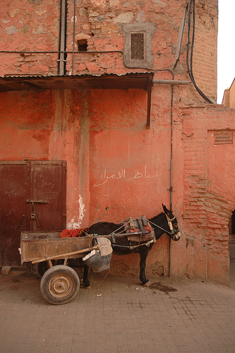 Marrakech10.jpg