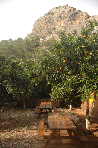 Olympos01.jpg