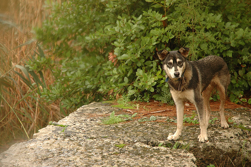 Olympos04.jpg