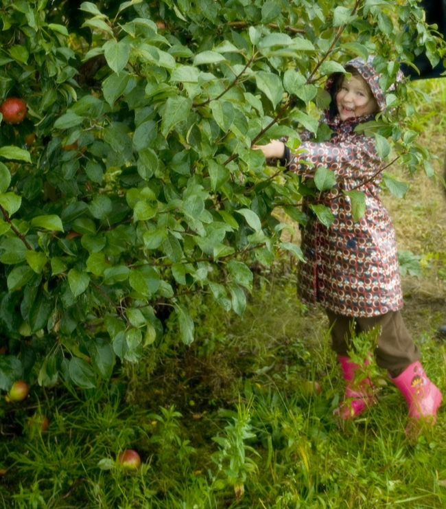 Apple Picking with Poppy